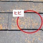 スレートヒビ割れ