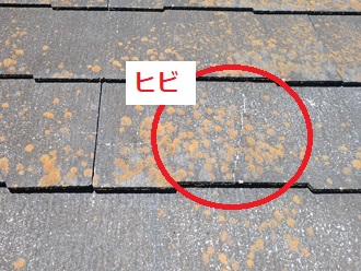スレートヒビ割れ