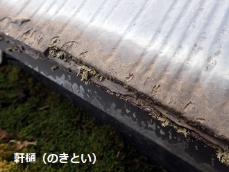 雨樋の苔(コケ)　軒先