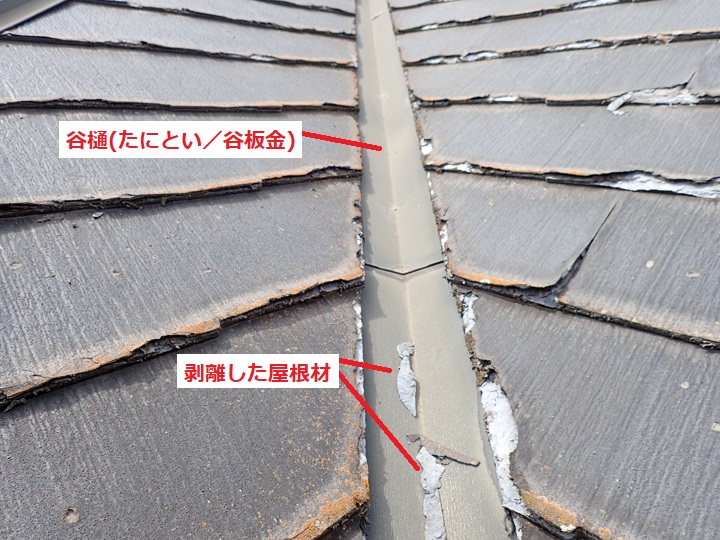 パミール　谷樋に剥離した屋根材の破片