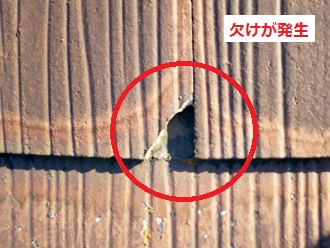 スレート苔（コケ）