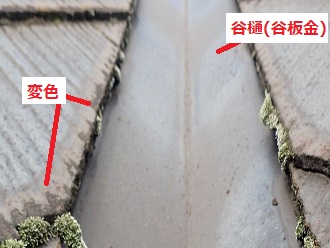 谷樋部分の苔(コケ)　板金の変色
