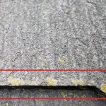 苔（コケ）　表面の様子