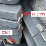 鬼瓦周辺　漆喰劣化　苔（コケ）