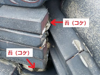 鬼瓦周辺　漆喰劣化　苔（コケ）