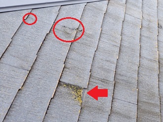 小口の劣化　欠け