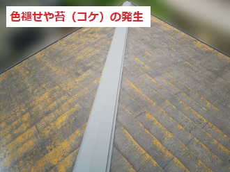 屋根の塗装剥がれ　色褪せ　コケ