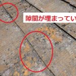 カビや苔が隙間を埋める