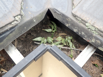 入隅部分の雨樋