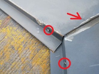 苔でザラザラ　シーリング無くなっている