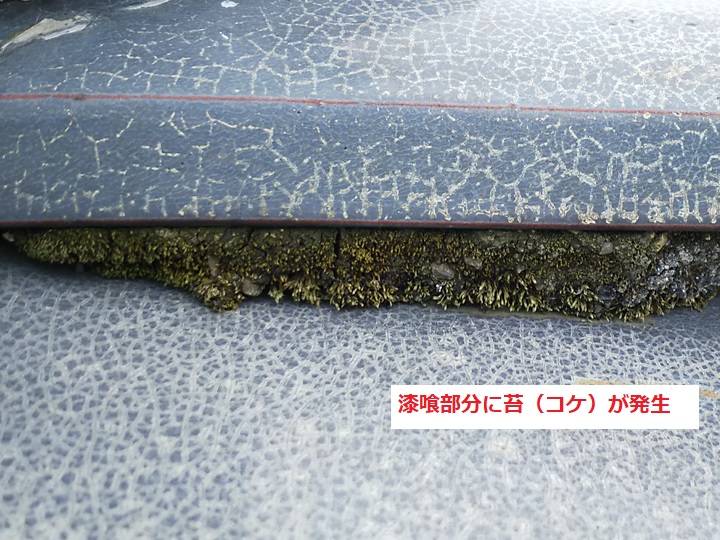 漆喰に苔(コケ)