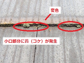 スレート屋根材　小口部分の変色　苔