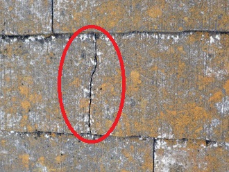 苔の発生　ヒビ割れ