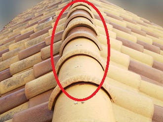 大棟　冠瓦の浮き