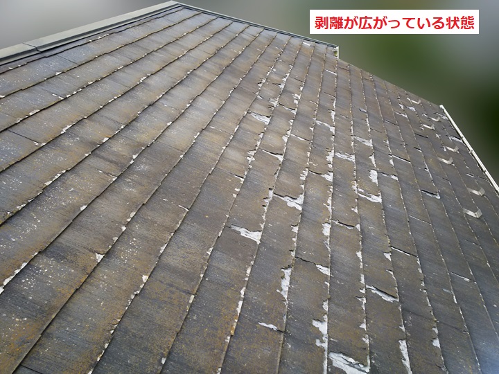 パミール屋根全体