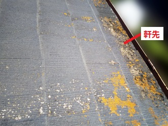 スレート屋根　軒先の苔(コケ)