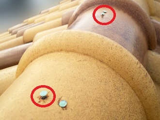 0708棟瓦　釘浮き