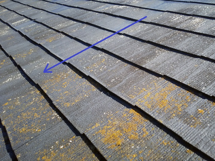 塗装劣化　苔　素地