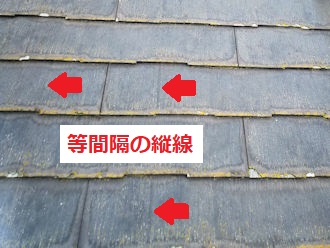 パミール　縦線