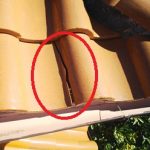 軒先の瓦に割れ