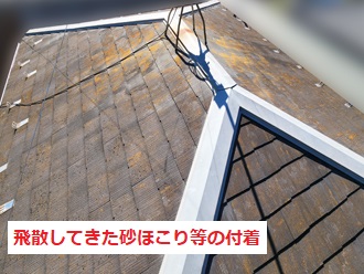 屋根全体　苔発生