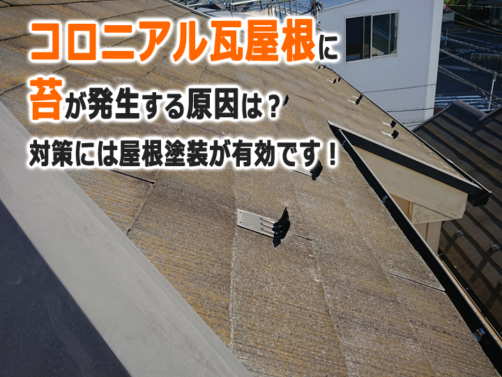 コロニアル瓦屋根に苔が発生する原因は？対策には屋根塗装が有効です