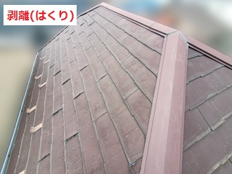 屋根全体の様子