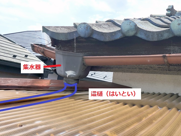 這樋（はいとい）