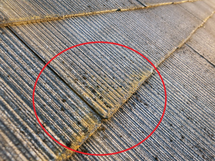 スレート苔　浮き