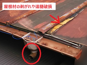 瓦棒葺き　剥がれ　這樋外れ