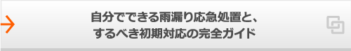 自分でできる雨漏り応急処置と、するべき初期対応の完全ガイド