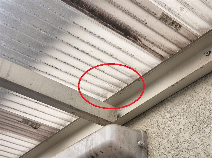 強風で波板が破損