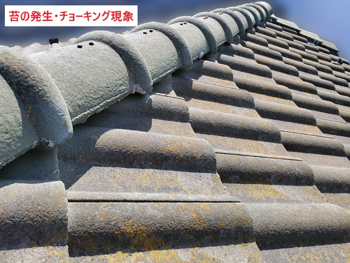 モニエル 苔・チョーキング現象発生