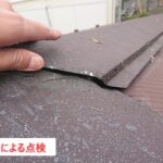 プロによる点検