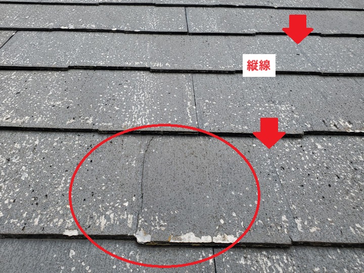 パミール　縦線