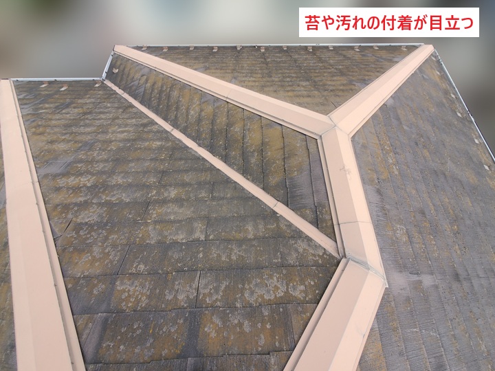 屋根全体の様子