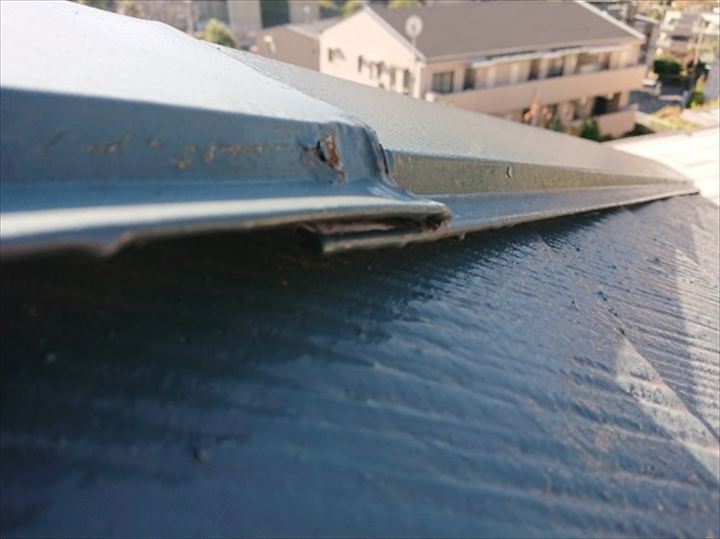 屋根から降ってきた