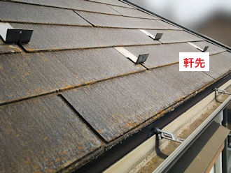 軒先　苔が発生しやすい