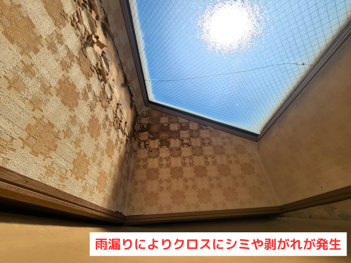 雨漏りによりクロスにシミや剥がれが発生
