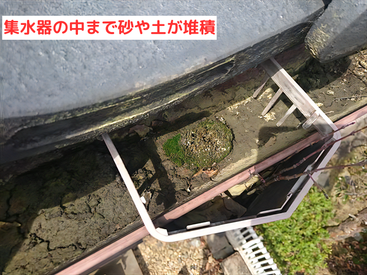 集水器の中まで砂や土が堆積