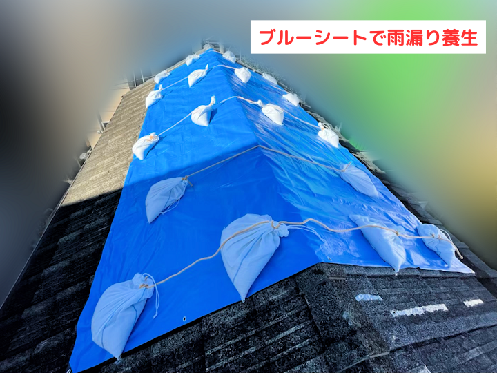 ブルーシートで雨漏り養生