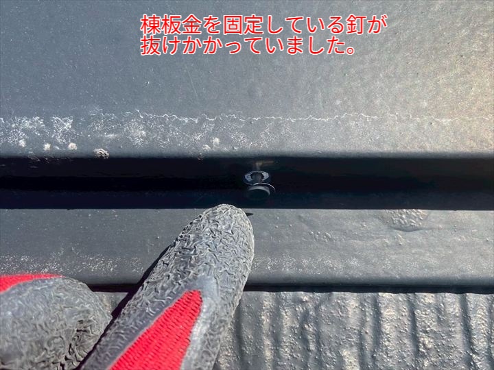 実際に、棟板金を固定する釘が一部抜けかかっている箇所も見つかりました。このような状態は、風による煽りを受けて棟板金が浮いてしまうリスクが高く、最悪の場合は飛散による事故や雨漏りにつながる恐れがあります。定期的に釘の緩みや固定状態を点検し、必要に応じて補強を行うことが望ましいです。