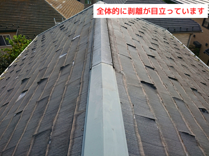 パミール屋根全景の写真（劣化が進行している様子）