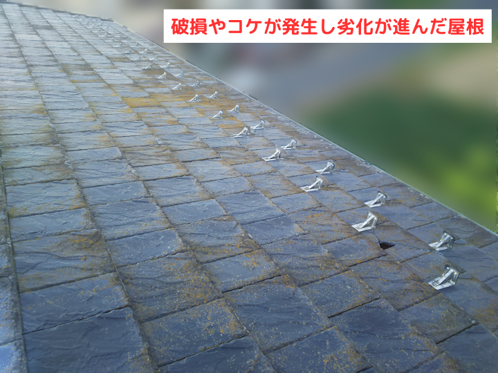 破損やコケが発生した屋根