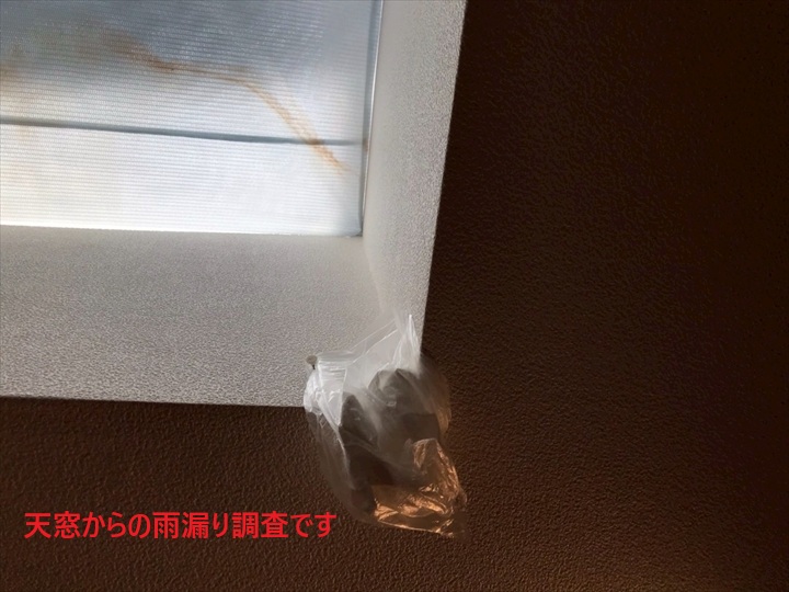 雨漏り箇所