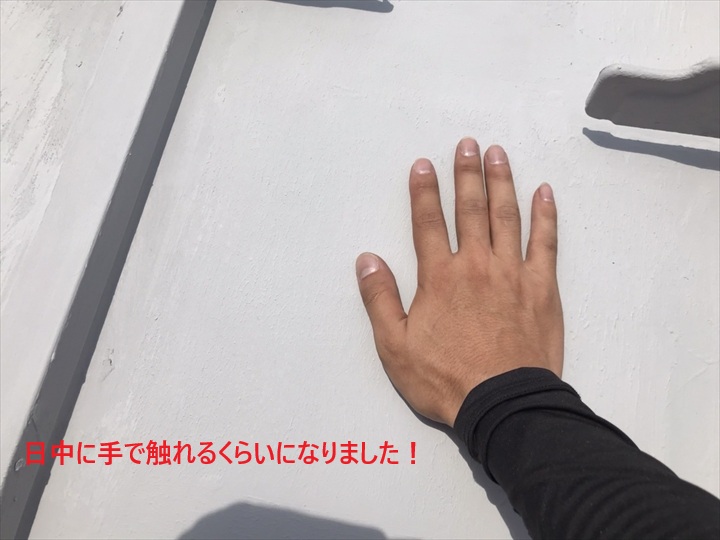 手で触れるぐらいになりました