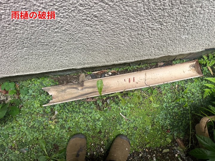 雨樋の破損