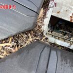 雨樋の詰まり