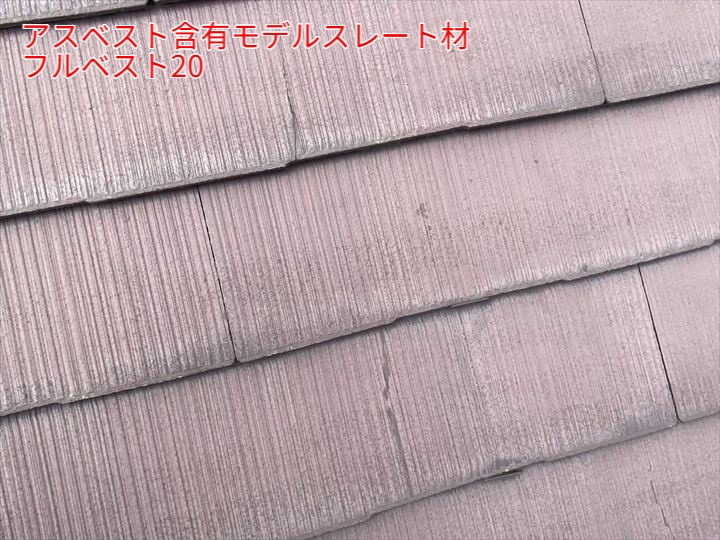 現地調査と点検