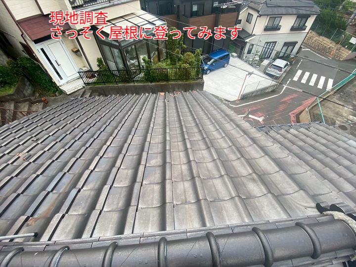 屋根全体にわたる確認の様子。高所作業のため安全管理を徹底して行います。